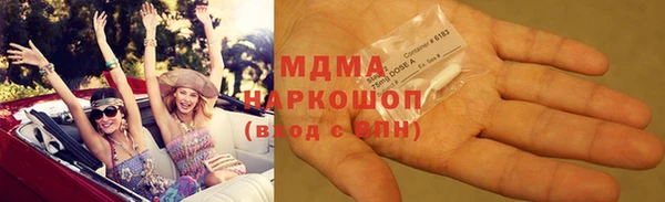 ГАЛЛЮЦИНОГЕННЫЕ ГРИБЫ Верея