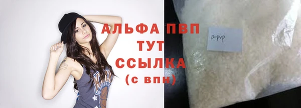 ГАЛЛЮЦИНОГЕННЫЕ ГРИБЫ Верея
