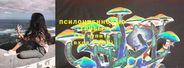 ГАЛЛЮЦИНОГЕННЫЕ ГРИБЫ Верея