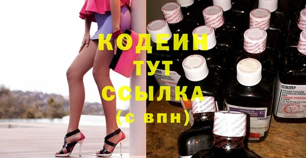 ГАЛЛЮЦИНОГЕННЫЕ ГРИБЫ Верея