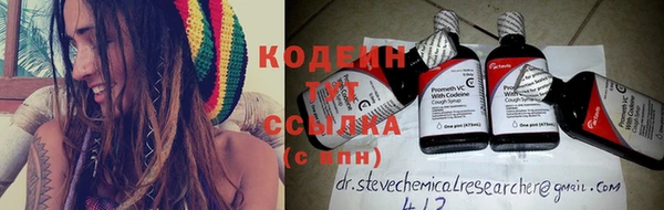 ГАЛЛЮЦИНОГЕННЫЕ ГРИБЫ Верея