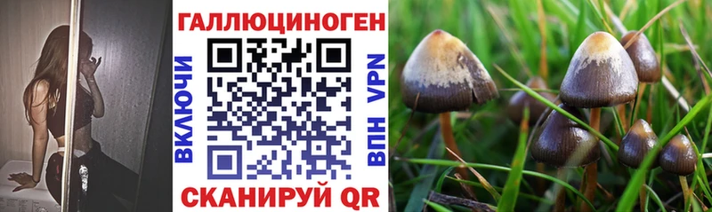 Купить закладки  Суоярви  Псилоцибиновые грибы Psilocybine cubensis 
