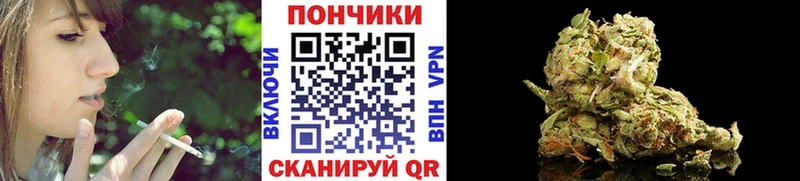 Купить закладки  Суоярви  Конопля AK-47 